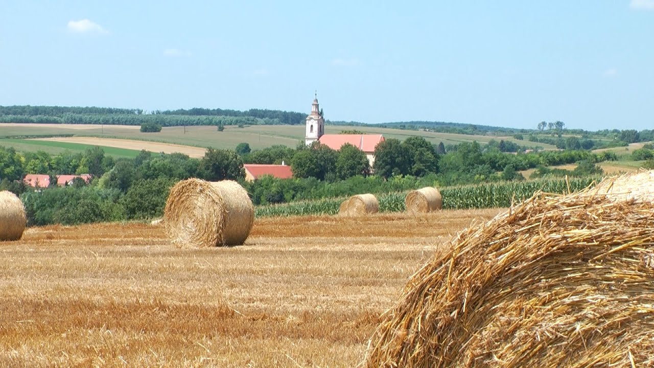 GYULAJ EGY ÉVE - 3. rész NYÁR