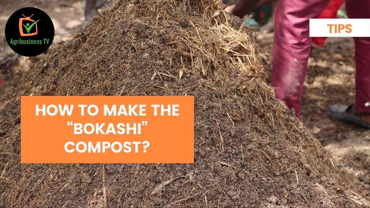 Tips: How to make the “Bokashi” compost? 