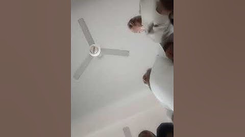 محمد حسانين جويفل ومع تلاوة من سورة السجدة والإنسان للشيخ عبدالله محمد عبدالعال في صلاة فجر يوم الجم
