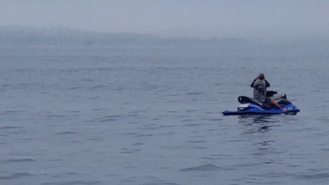 camera iphone 8 plus apk Fin Whale off Dana Point, CA.