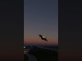 F-22 Raptor sundown low fly pass