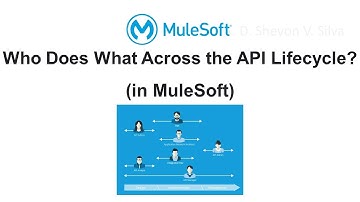 Who Does What Across the API Lifecycle? (in MuleSoft)