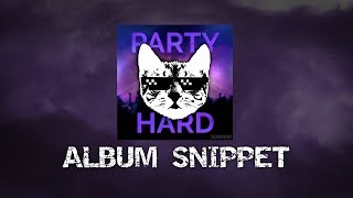 Sunderi - Party Hard (Album Snippet)
