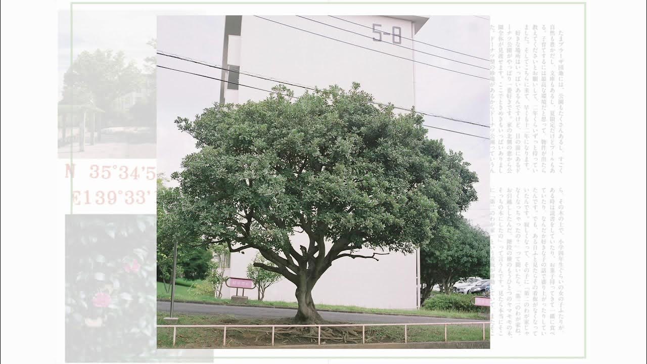 街のはなし007 「第二の我が家」　N35°34'58.15"E139°33'11.77"