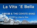 La Vita  ́E Bella【Cover】佐野元春 &amp; THE COYOTE BAND