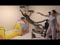 F2 Savannah Cat Taj Showing Off His Jumping Skills の動画、YouTube動画。