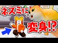 ネコに食べられちゃう!?ネズミの姿で謎を解け!!【ロブロックス】