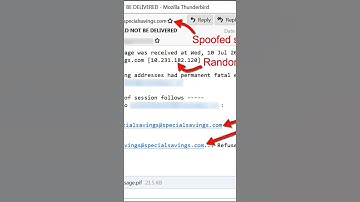 The Most Expensive Computer Virus