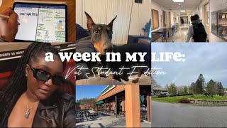 Life of A Veterinary Student | studying, relaxing, spending time with friends: VMCVM diaries 001