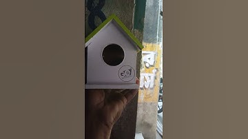 #birds #birdsong #youtubeshorts #shortvideo #shorts
