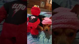 Charlie with Elmo in a pink hat