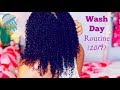 My Natural Curly Wash Day Routine (2019)