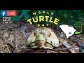 World turtle day 2022 from tsas turtle survival center