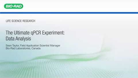 Tutorial Video: Ultimate qPCR Data Analysis (6 of 7)