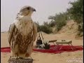 أبو سلطان ليالي السود عذبن قلبي والمني أبو سلطان ليالي السود عذبن قلبي والمني