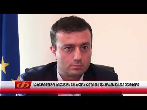 საპრეზიდენტო არჩევნებს შესაძლოა ხაშურისა და გორის მერები შეეწირონ