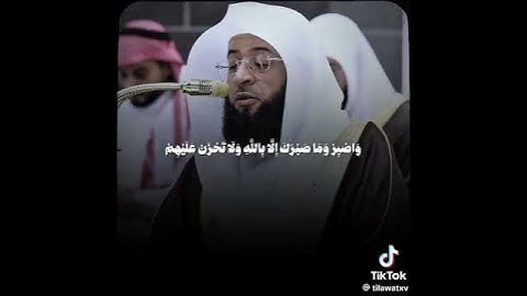 تلاوة هادئة تريح القلب من الشيخ : بدر التركي