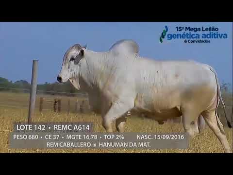 Lote 142 - REM FATURO