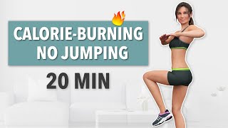 20 MIN NO JUMPING CARDIO - BURN CALORIES WITHOUT HURTING YOUR JOINTS