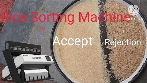 Rice color sorter | Color sorting machine | seeds Color sorter machine| youTube|Mymeyer