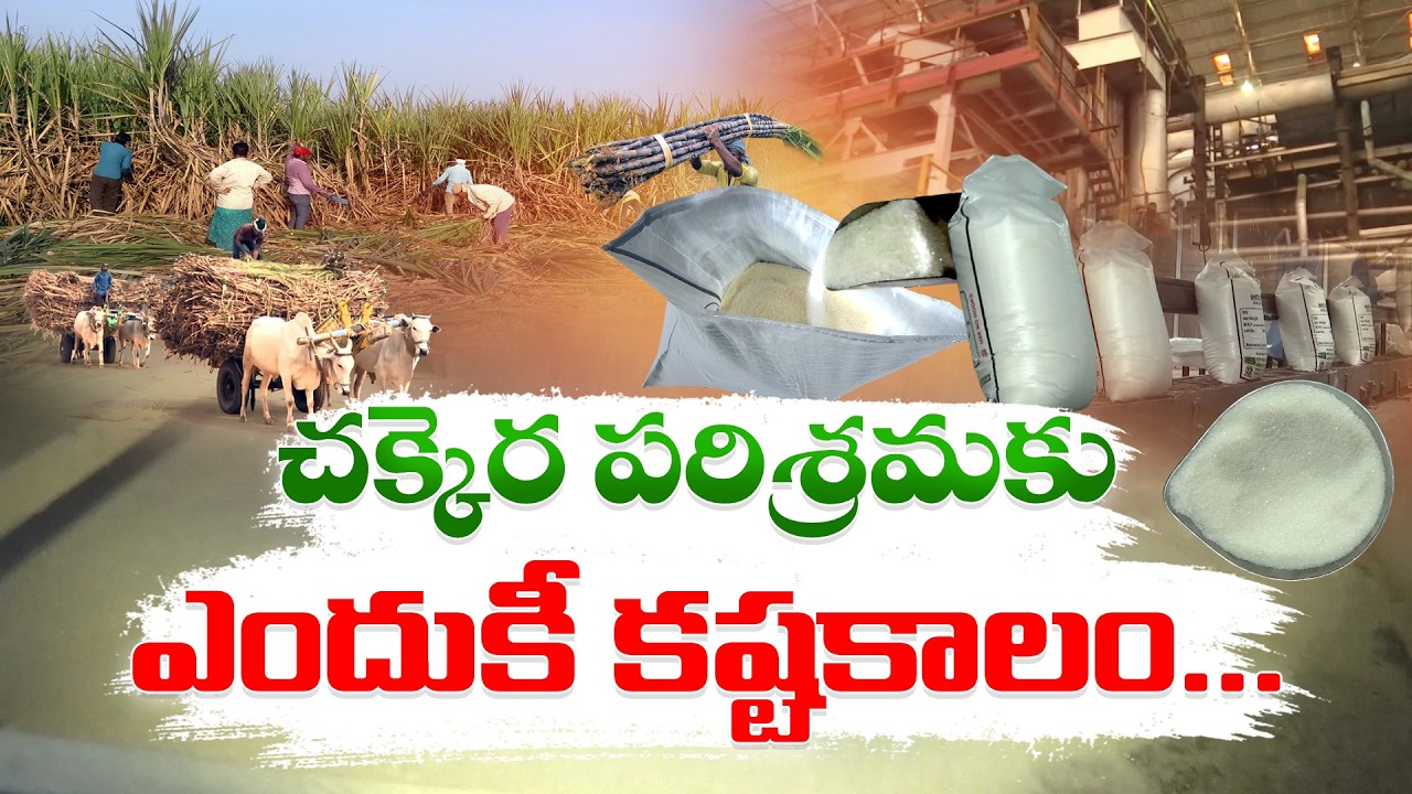 Why Are Farmers Quitting Sugarcane Cultivation? Andhra Pradesh Agriculture Crisis || Idi Sangathi