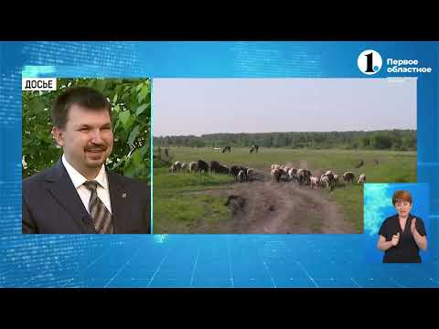 Дачников штрафуют за сорняки: правда или вымысел?