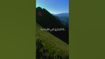 سورة غافر|41ـ43|القارئ:#ياسر_الدوسري #قران #quran #راحة_نفسية #قران_كريم #تلاوة #تلاوة_هادئة #آية