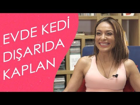 ZİYNET SALİ'NİN BİLİNMEYENLERİ
