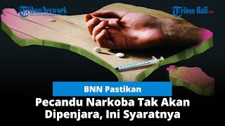 BNN Pastikan Pecandu Narkoba Tak Akan Dipenjara, Ini Syaratnya screenshot 4