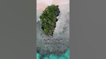 تلاوة خاشعة - القارئ الشيخ صلاح البدير - سورة القارعة