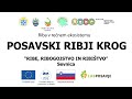 Posavski ribji krog  delavnica ribe ribogojstvo in ribitvo