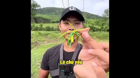 Con mồi câu lure xịn nhất xóm