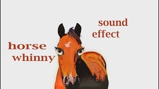 The Animal Sounds Horse Whinny Sounds Sound Effect Animation