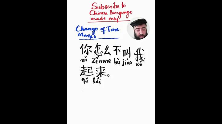 Third and 4th Tone change Rules in Chinese language