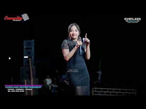 ROMANSA NYESS - RAIB - DIN ANESIA - PARTY DIAPNOSA CHENGLIE - LEBAK PAKISAJI JEPARA