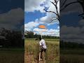 fried chicken that requires effort#shortvideo #nature