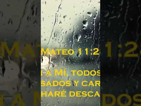 21 de abril de 2025