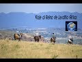 Viaje al Reino de Lesotho (Sudáfrica)