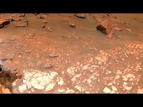 Wait What? Life on Earth Began on Mars?