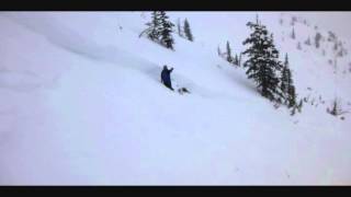 Bridger Peak Avalanche - 20 Feb 2013