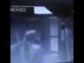 بص يا باشا بص يا باشا