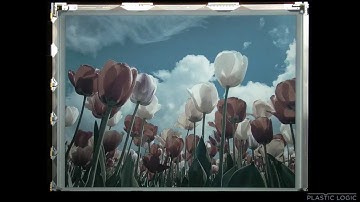 Colour: Plastic Logic