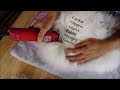 Electric Shears for Angora Rabbit Tutorial. How to clip an angora with corded electric clippers.
