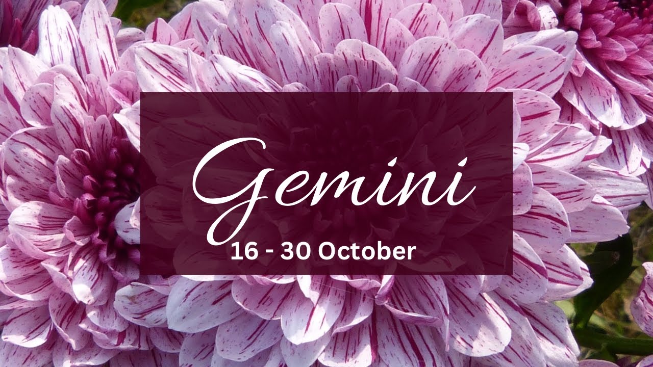 Близнецы❤️ Читаю старые переписки, потому что у них все еще есть чувства к тебе, но вот почему он...