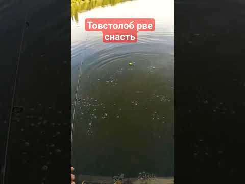 #fishing #amazing Рибалка