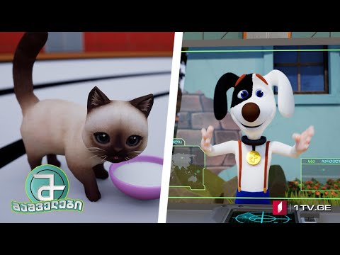 #მაშველები „ამო ფისოს გადასარჩენად“ - სეზონი 3, ეპიზოდი 3