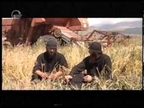 ძველი ბერთა