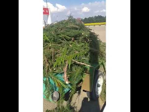 японцы молодцы,придумали стиль