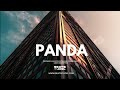 Amapiano Type Beat | Afrobeat | "Panda" 2022