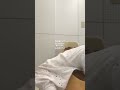 春を歌にして / back number 歌ってみた【ぬまのうみの弾き語り】
